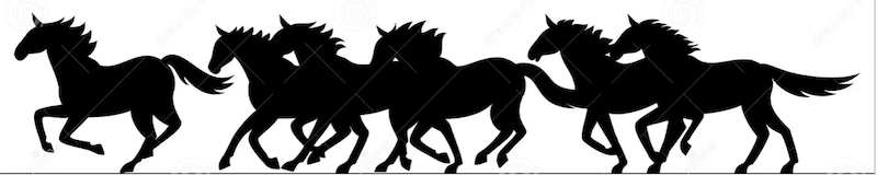 Silhouette of running horses